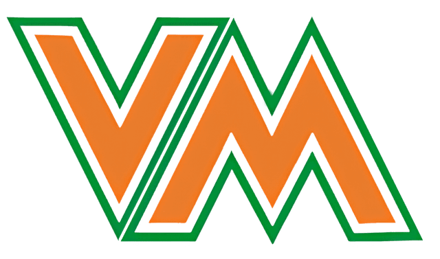 ВИЕМ-СТРОЙ ООД